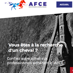 Repositionnement de la Chambre syndicale du commerce de chevaux en France (CSCCF)