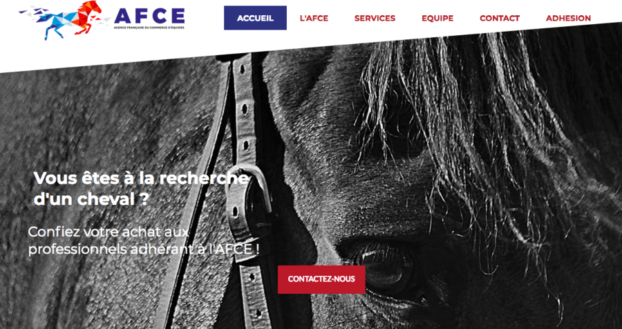 Repositionnement de la Chambre syndicale du commerce de chevaux en France (CSCCF)